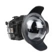 Sea Frogs Canon EOS R50 40m 130ft Underwater Camera Housing with 8  Dome Port (Canon RF-S 18-45mm f 4.5-6.3 IS STM zoom gear) For Discount